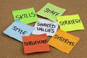 7S model for organizational culture, analysis and development (skills, staff, strategy, systems, structure, style, shared values) - colorful reminder notes on cork bulletin board